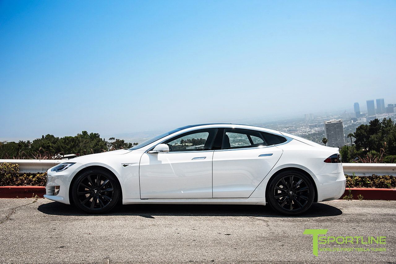 TST 20" Tesla Model S Wheel and Tire Package (Set of 4)