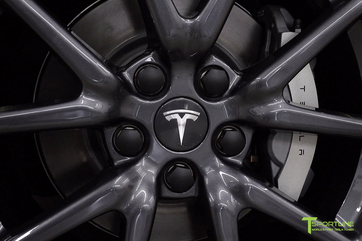 Tesla Model 3 Factory Gray Center Cap Set and Wheel Lug Nut Cover Set
