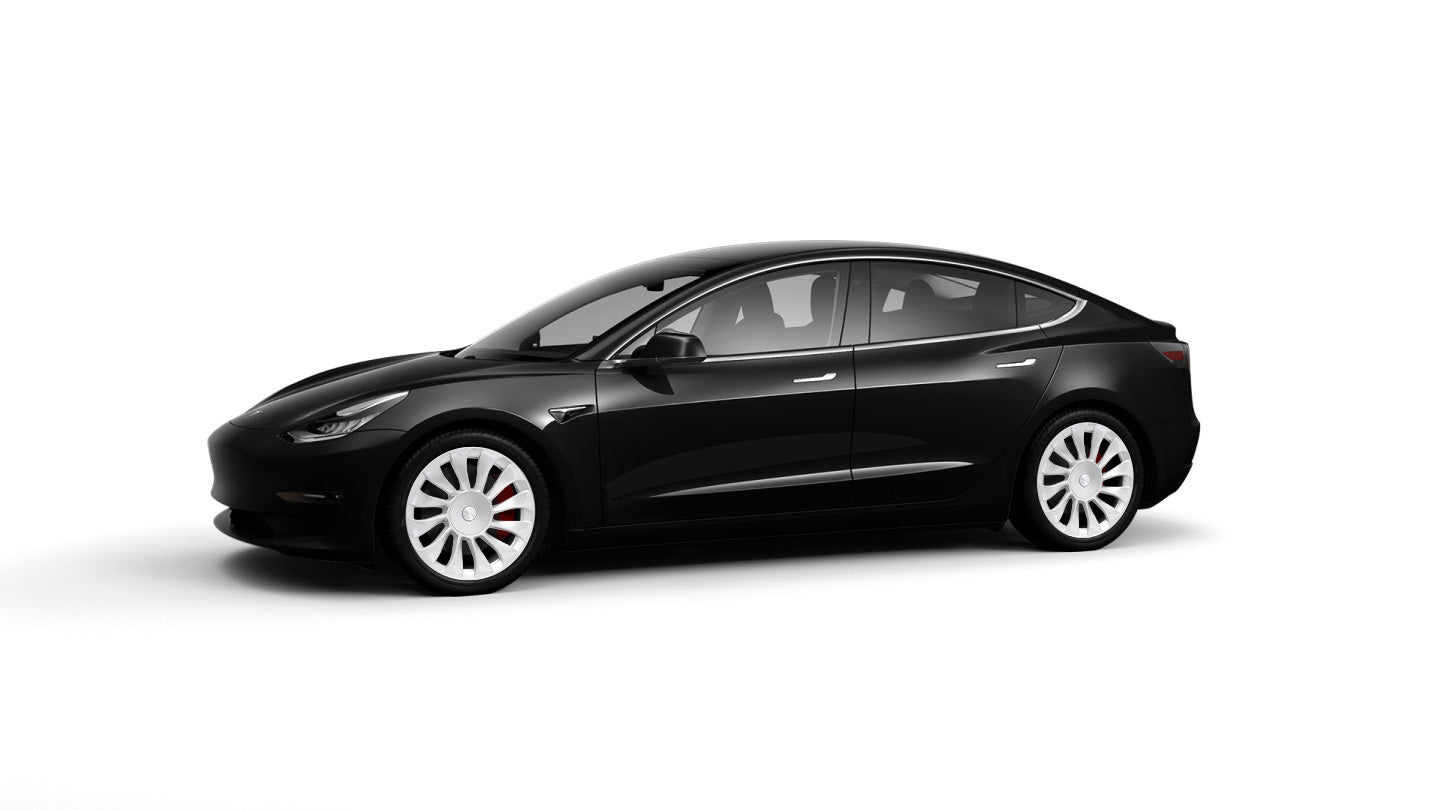 TSV 19" Tesla Model 3 Wheel and Tire Package (Set of 4)