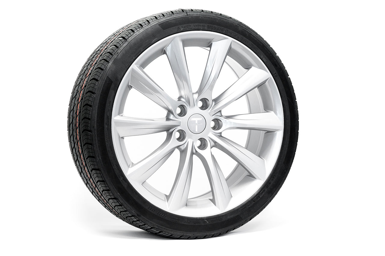 TST 19" Tesla Model S Wheel and Winter Tire Package (Set of 4)