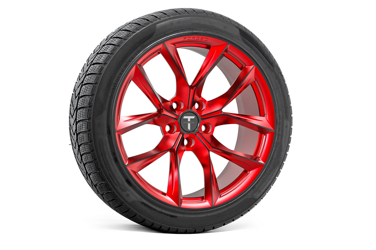 TSSF 19" Tesla Model S Long Range & Plaid Wheel and Winter Tire Package (Set of 4)