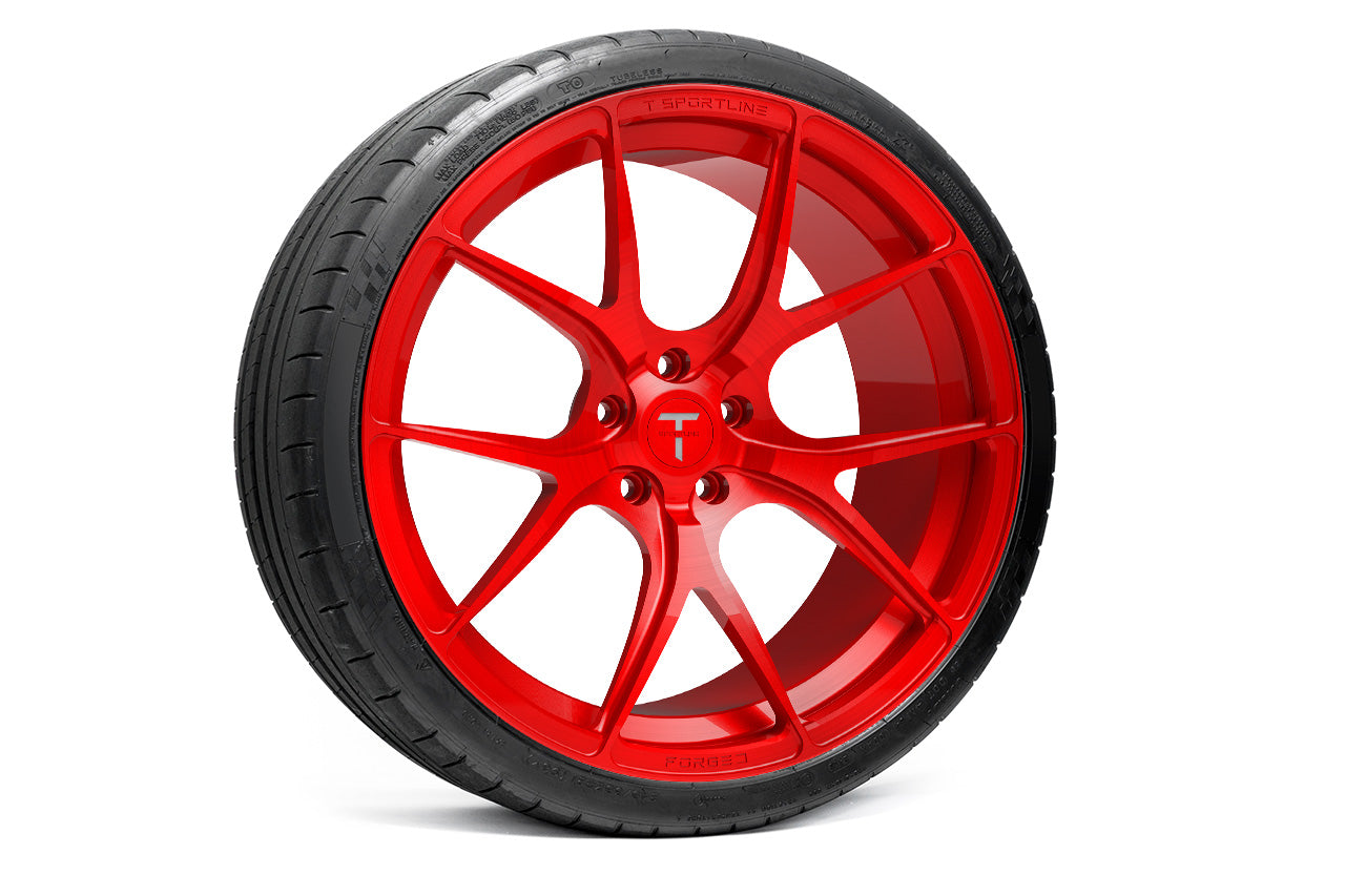 TS115 21" Tesla Model S Long Range & Plaid Wheel and Tire Package (Set of 4)
