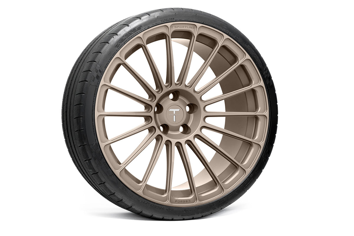 TS118 21&quot; Tesla Model S Replacement Wheel and Tire