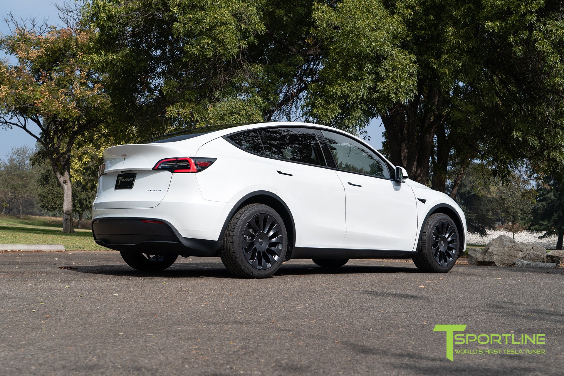 TSV 19" Tesla Model Y Replacement Wheel and Tire