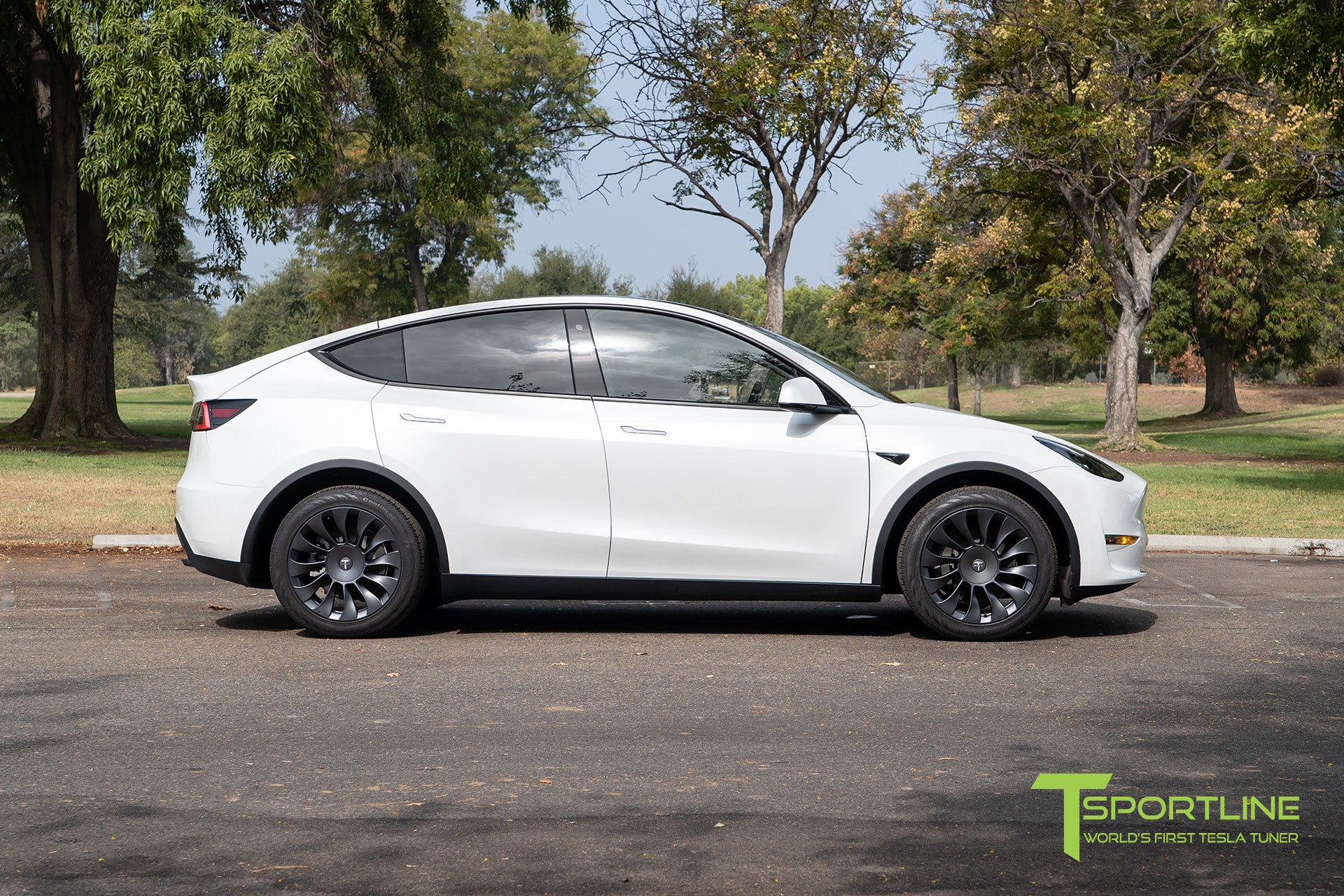 TSV 19" Tesla Model Y Wheel and Tire Package (Set of 4)