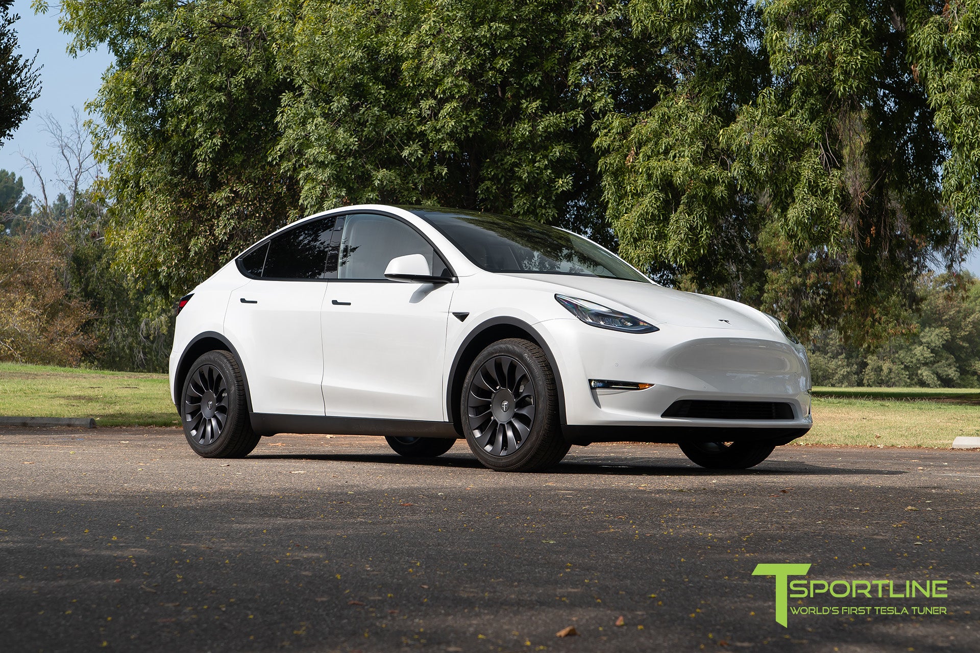 TSV 19" Tesla Model Y Wheel and Tire Package (Set of 4)