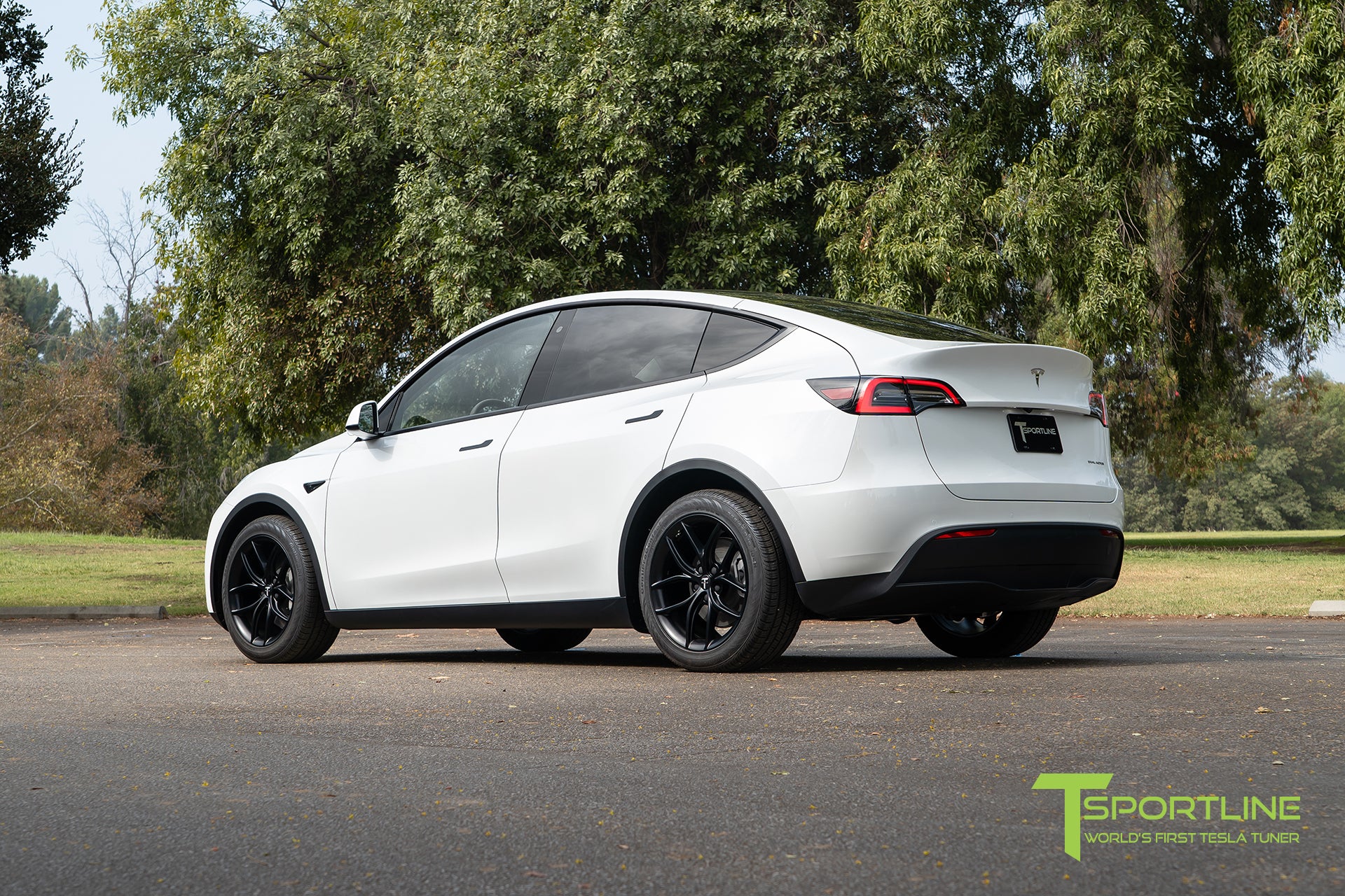 TS5 19" Tesla Model Y Wheel and Tire Package (Set of 4)