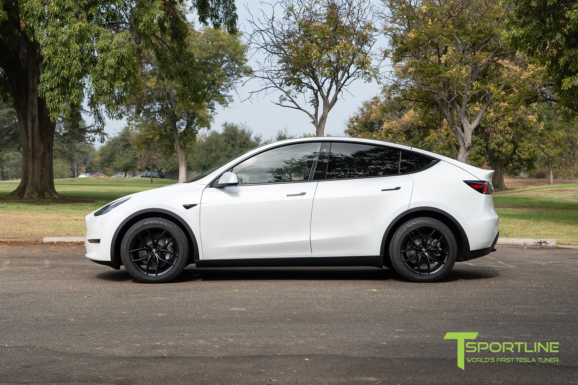 TS5 19" Tesla Model Y Wheel and Tire Package (Set of 4)