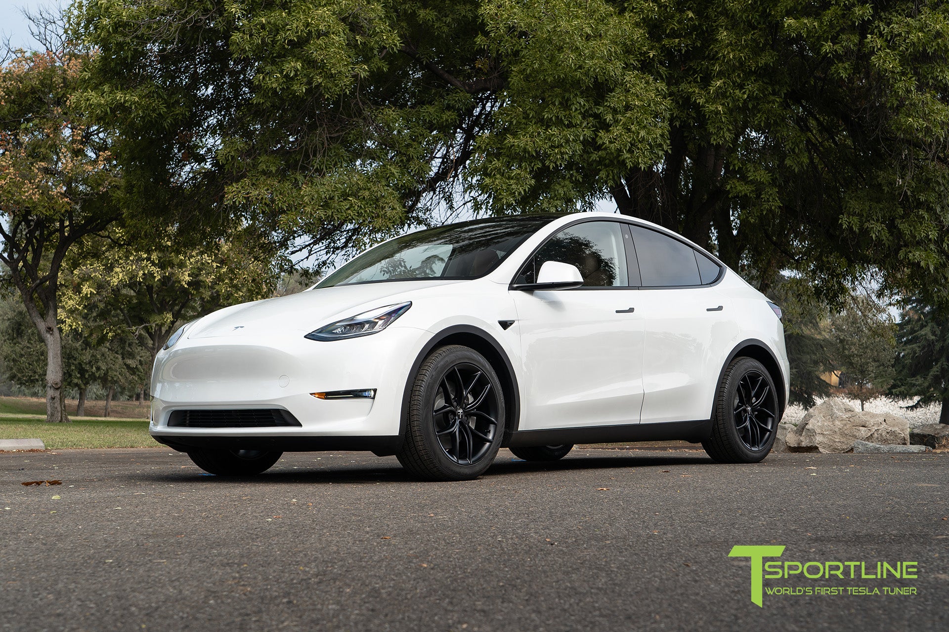 TS5 19" Tesla Model Y Wheel and Tire Package (Set of 4)