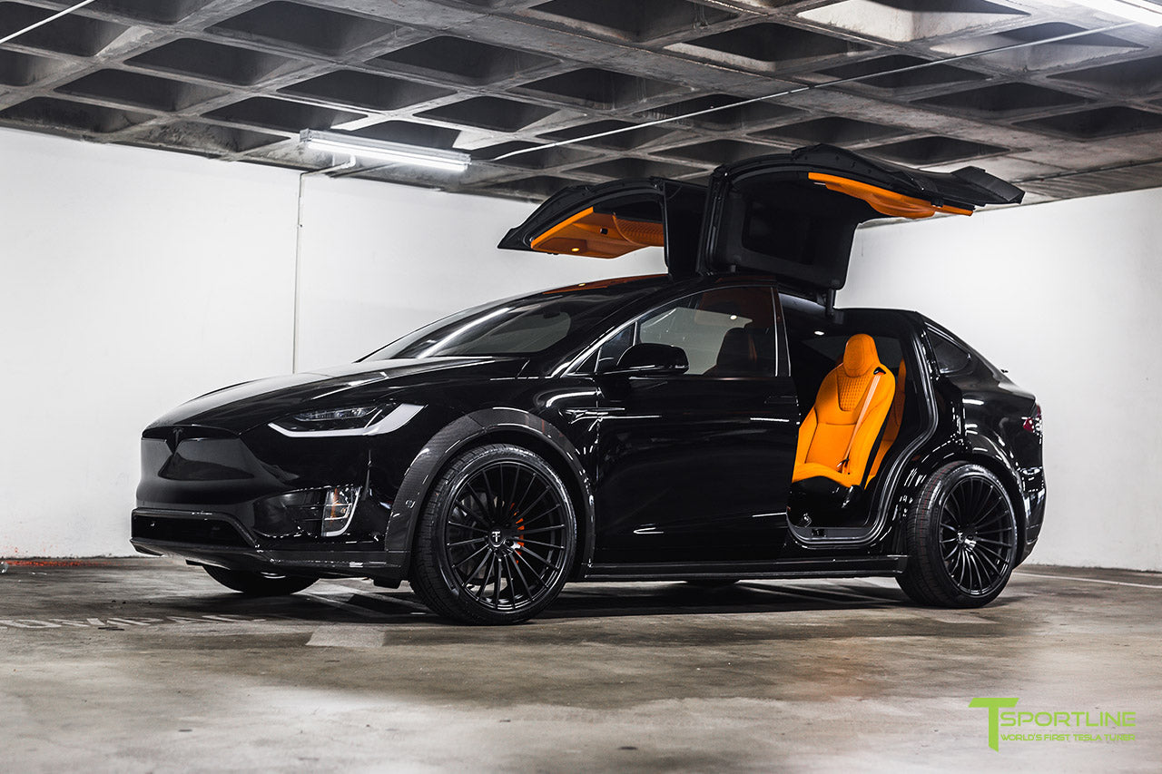 'T Largo' 7 of 20 - Black Tesla Model X