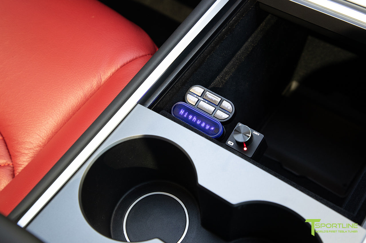 Tesla Model Y Ticket Avoidance System