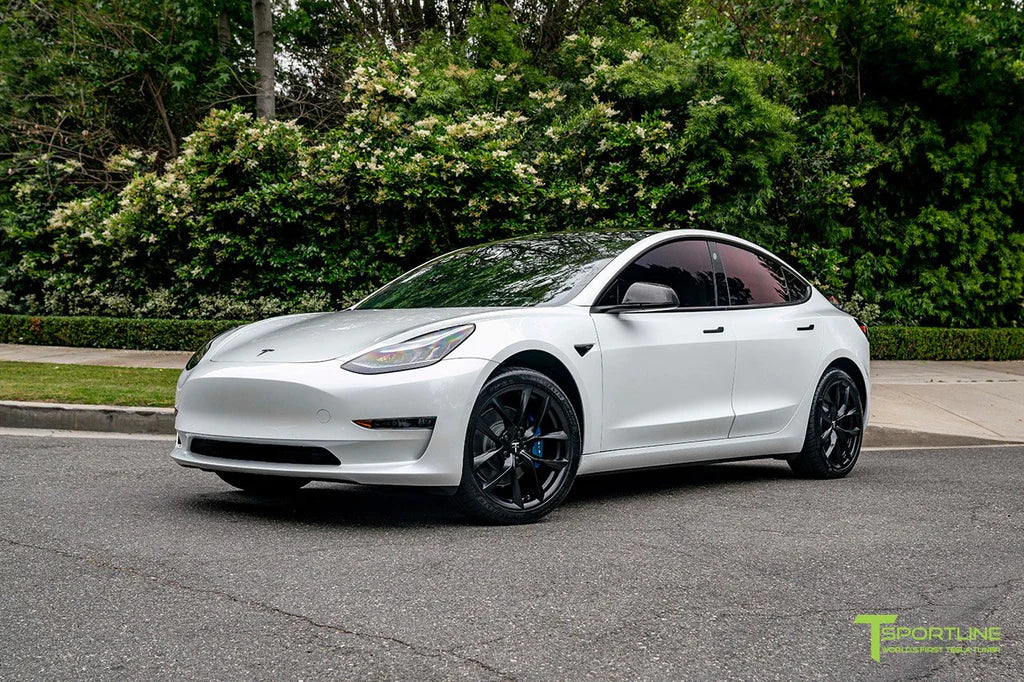 Pearl White Model 3 with 19" TSS and Blue Calipers