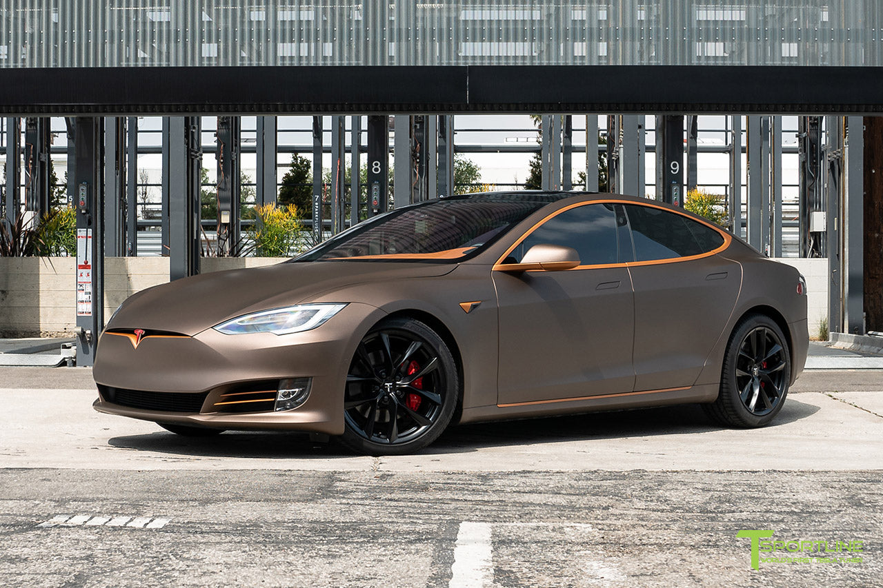 Project Muthyaga: 2019 Tesla Model S Performance with Ludicrous Mode