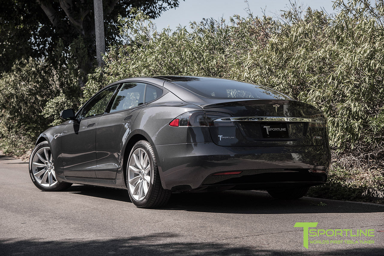 Model S 2.0 With 19