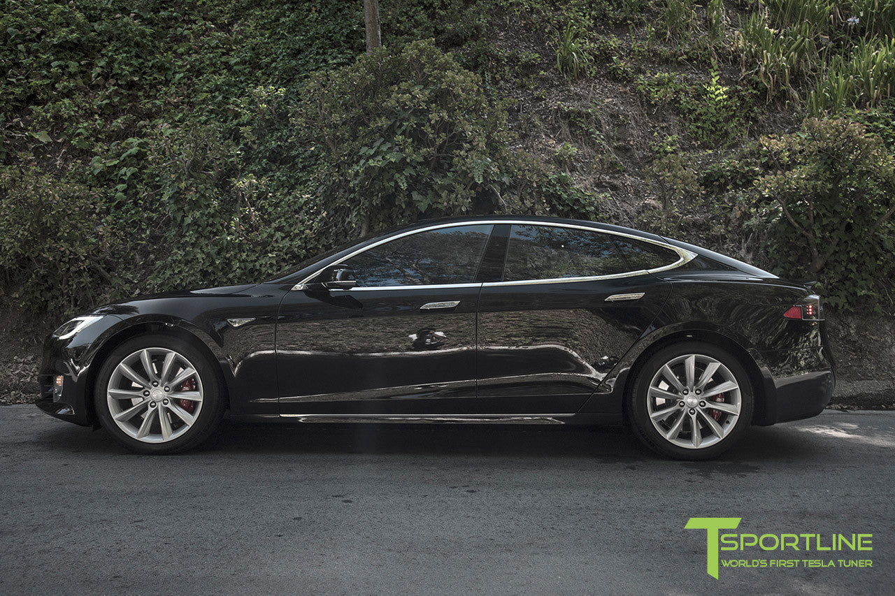 Obsidian Black Model S 2.0 with 19" TST Tesla Wheel in Brilliant Silver 