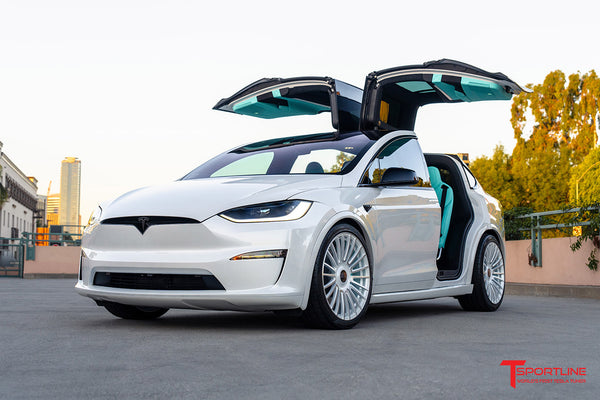 Pearl White Tesla Model X with Custom Tiffany Blue Leather Interior an ...