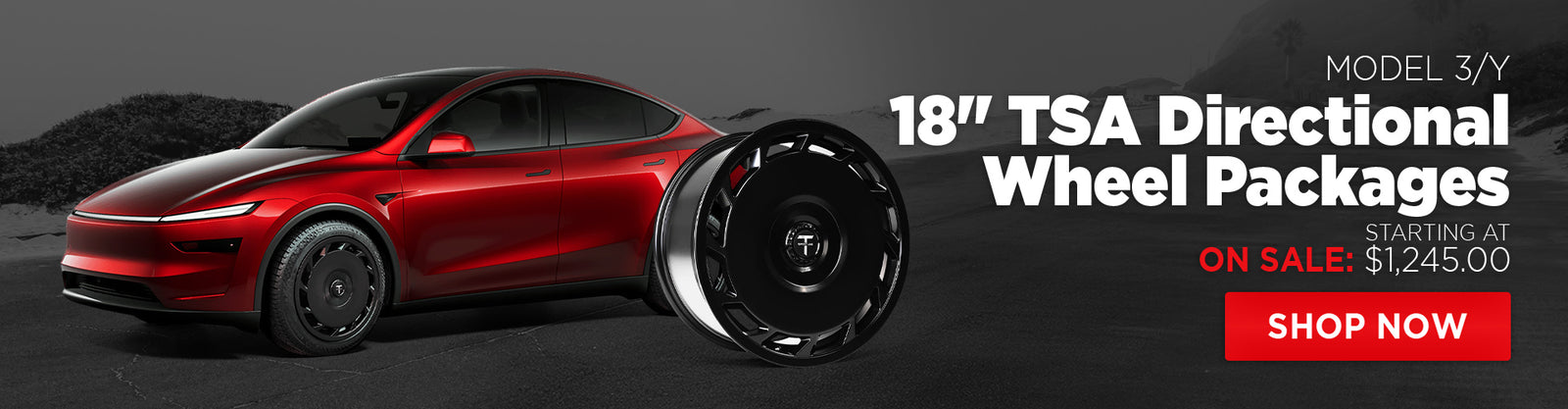 m*x様 T Sportline テスラ モデル3 TSS 20インチ ホイール