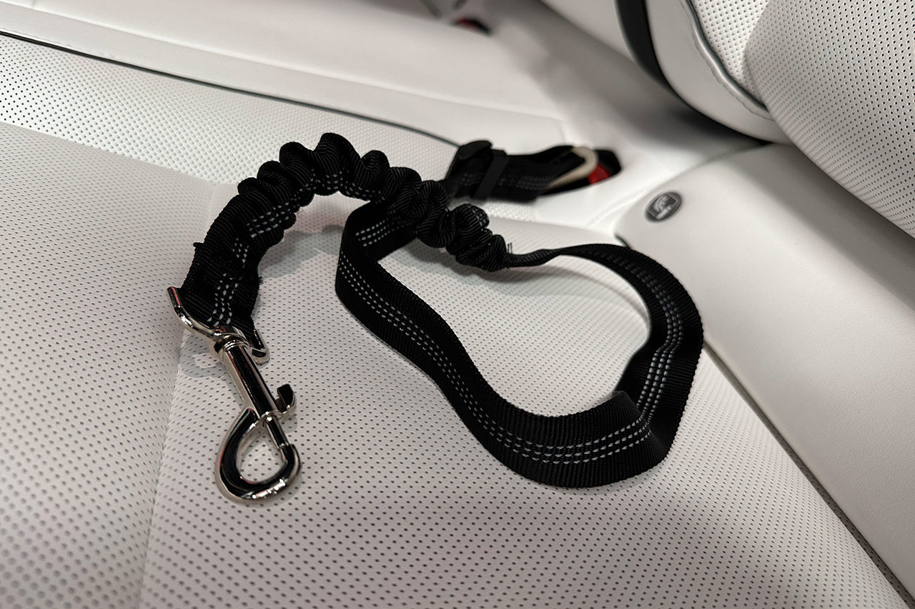 Dog / Pet Adjustable Seat Belt Car Harness Leash with Anti-Shock Bungee for Tesla