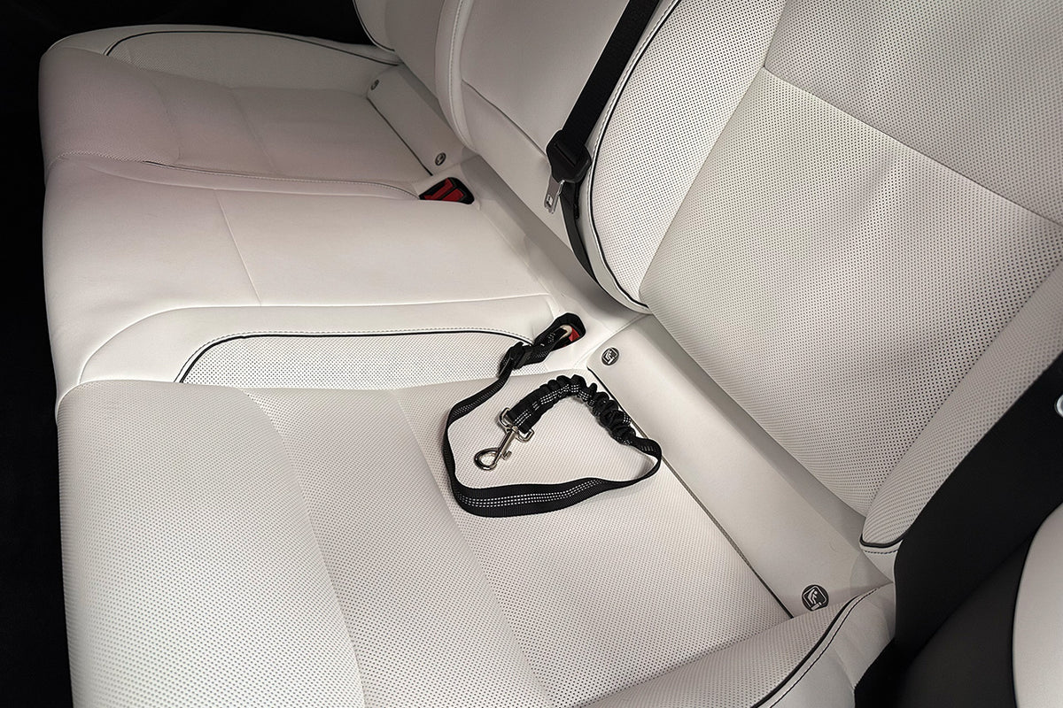 Dog / Pet Adjustable Seat Belt Car Harness Leash with Anti-Shock Bungee for Tesla