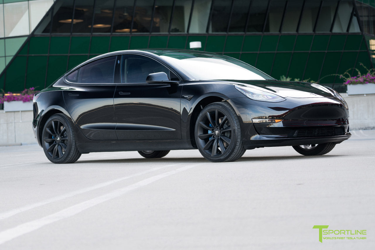Tesla Model 3 Professional Window Tinting
