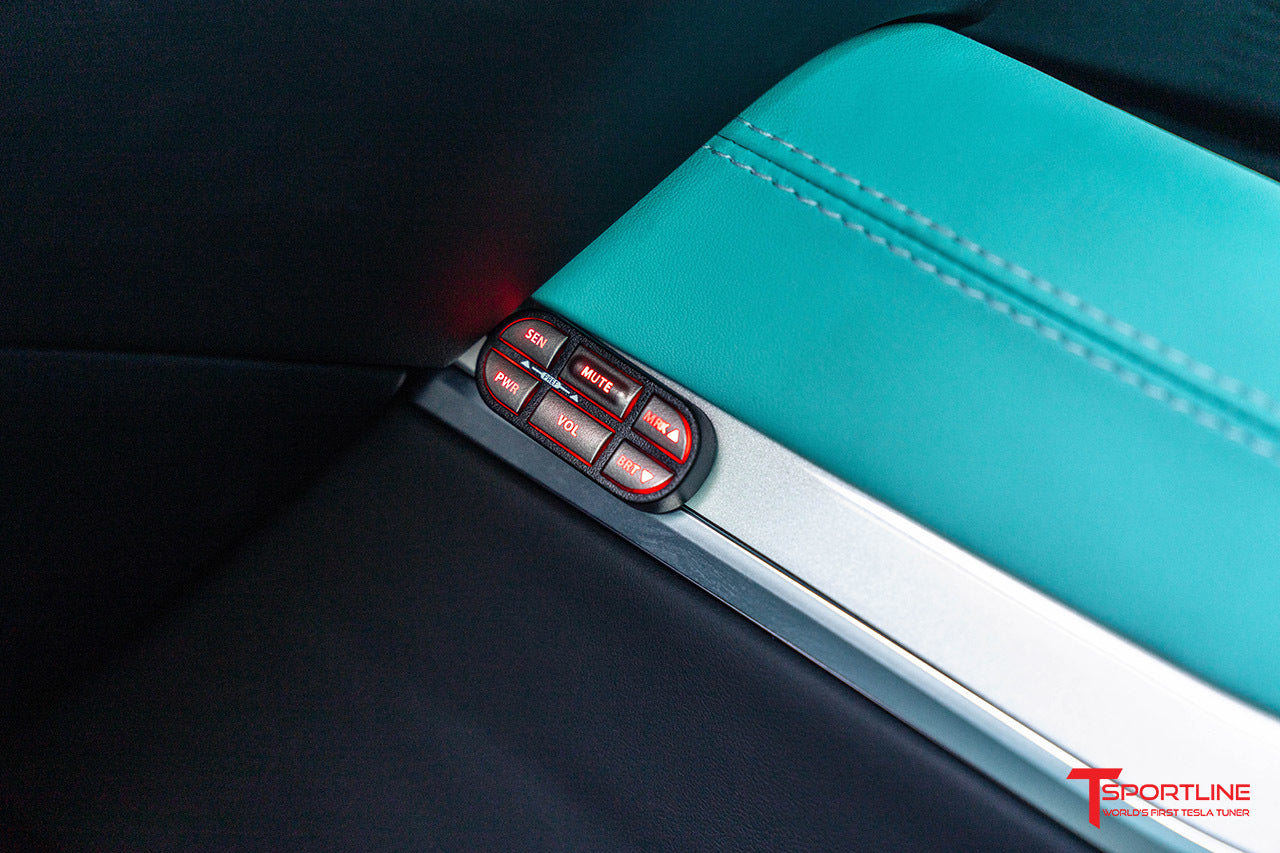 Tesla Ticket Avoidance System