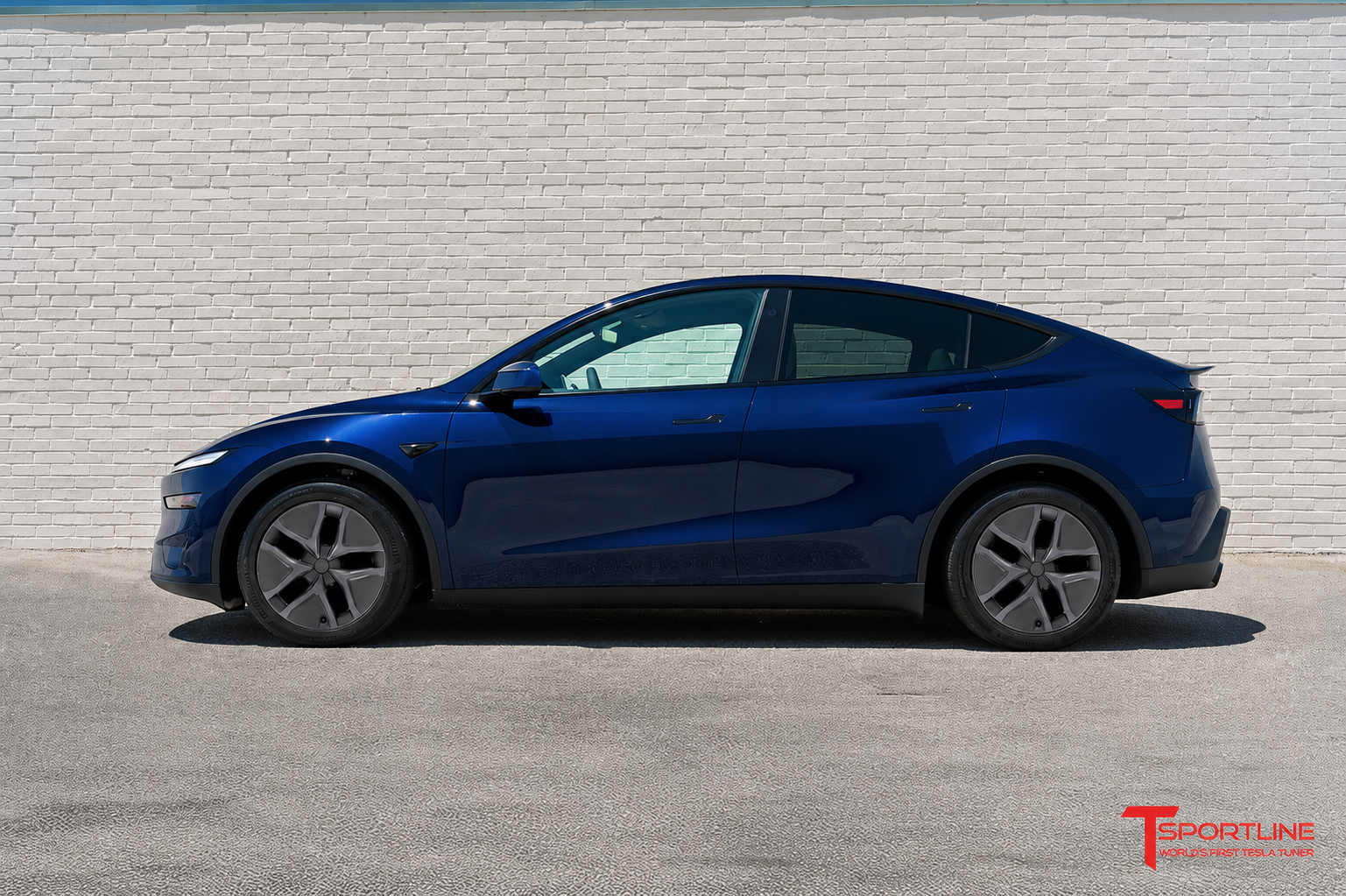 AR2 Tesla Model Y Arachnid Styled Aero Wheel Cover for 19" Factory Tesla Juniper Wheel