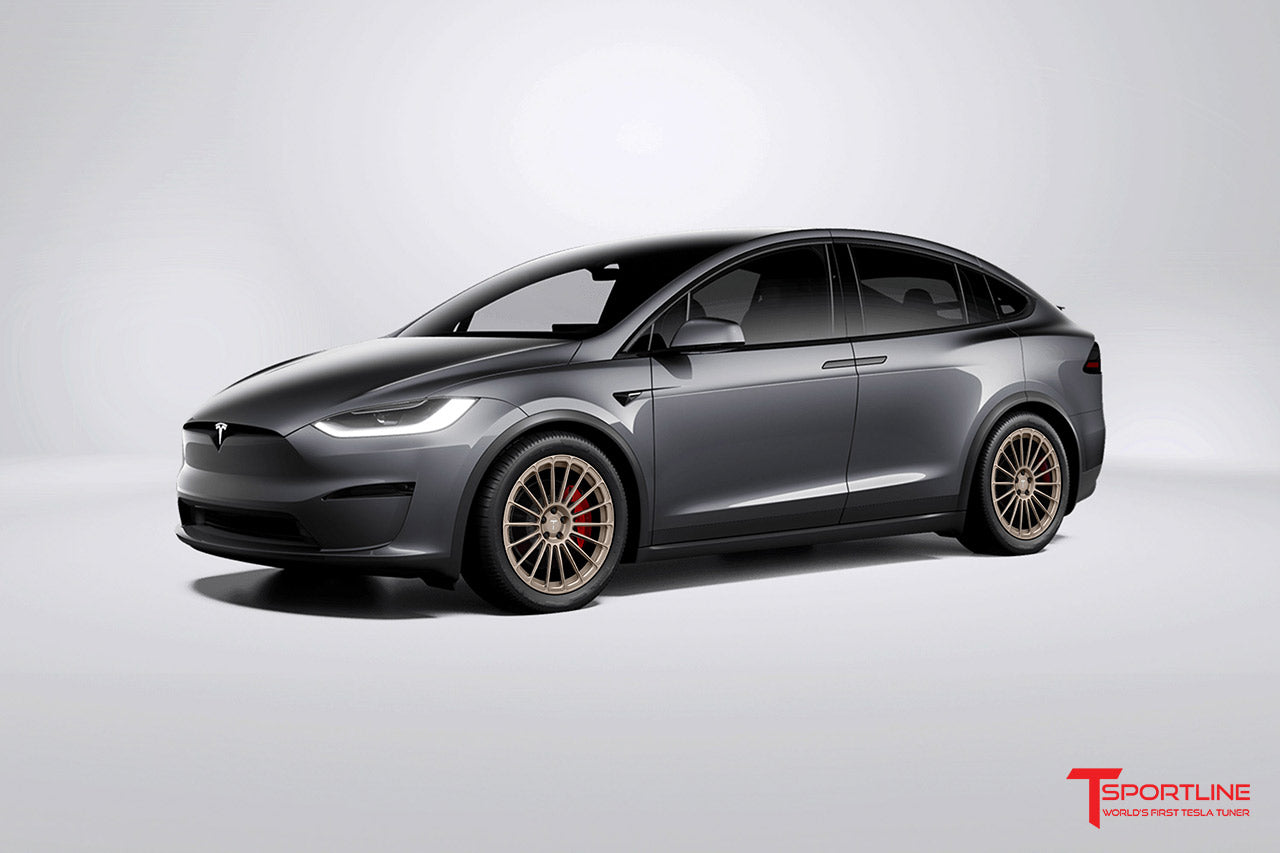 MX118 21" Tesla Model X Wheel (Set of 4)