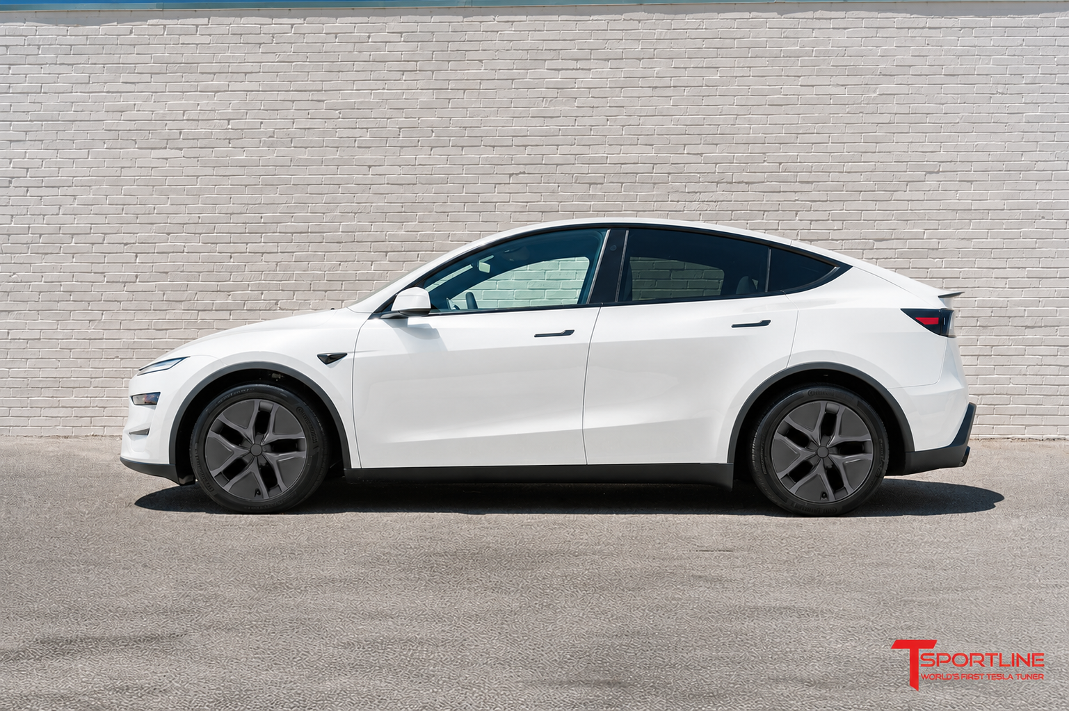 AR2 Tesla Model Y Arachnid Styled Aero Wheel Cover for 19" Factory Tesla Juniper Wheel