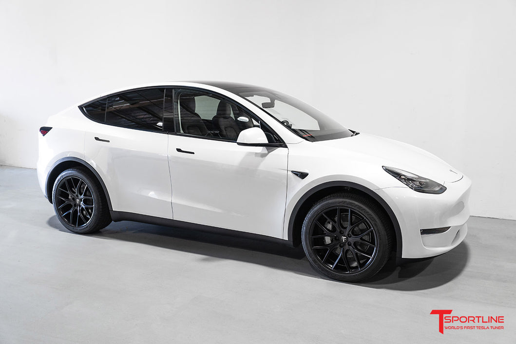 Model y 20 inch wheels discount