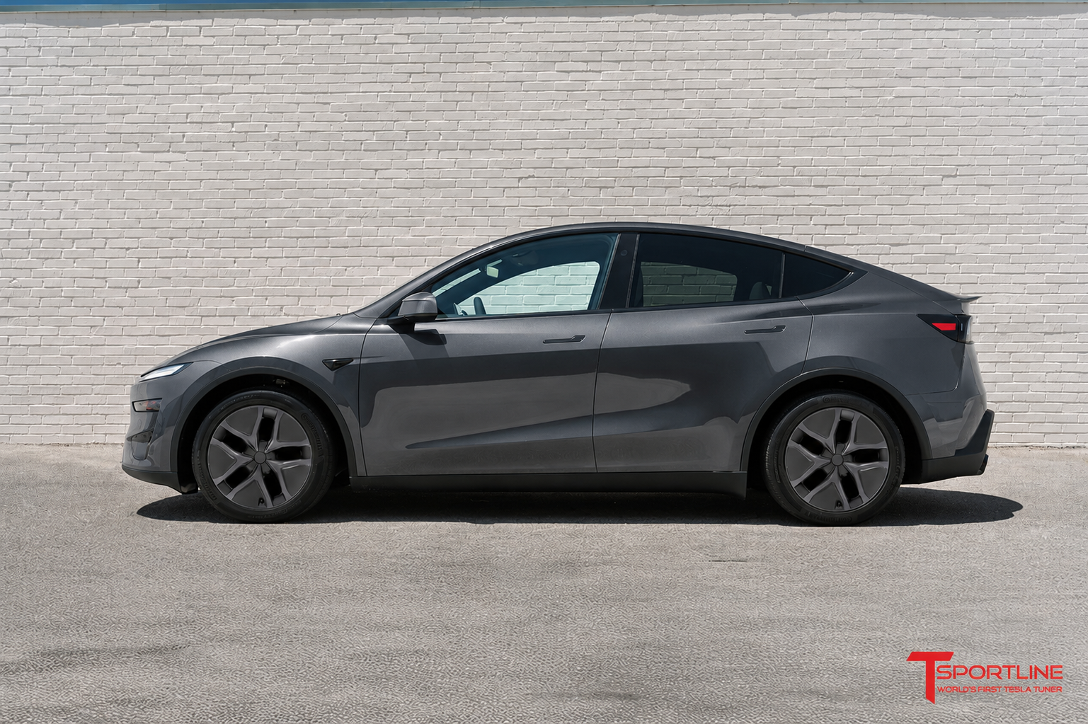AR2 Tesla Model Y Arachnid Styled Aero Wheel Cover for 19" Factory Tesla Juniper Wheel