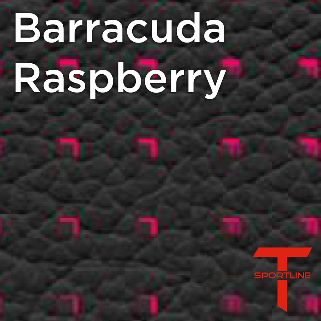 Tesla Seat Upgrade Kit Configurator Insert Swatches