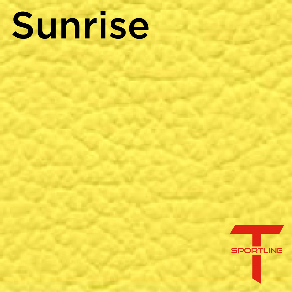 Tesla Seat Upgrade Kit Configurator Seat Insignia Swatches