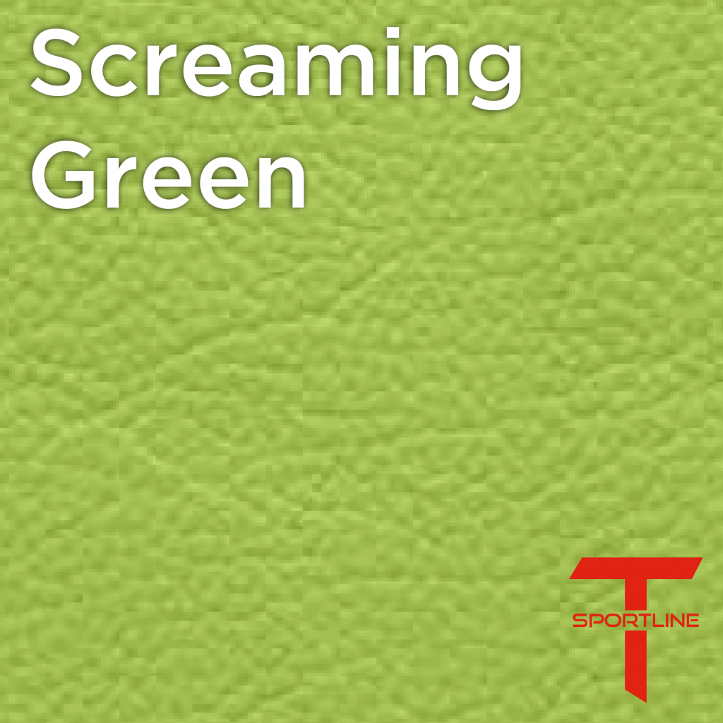 Tesla Seat Upgrade Kit Configurator Seat Insignia Swatches