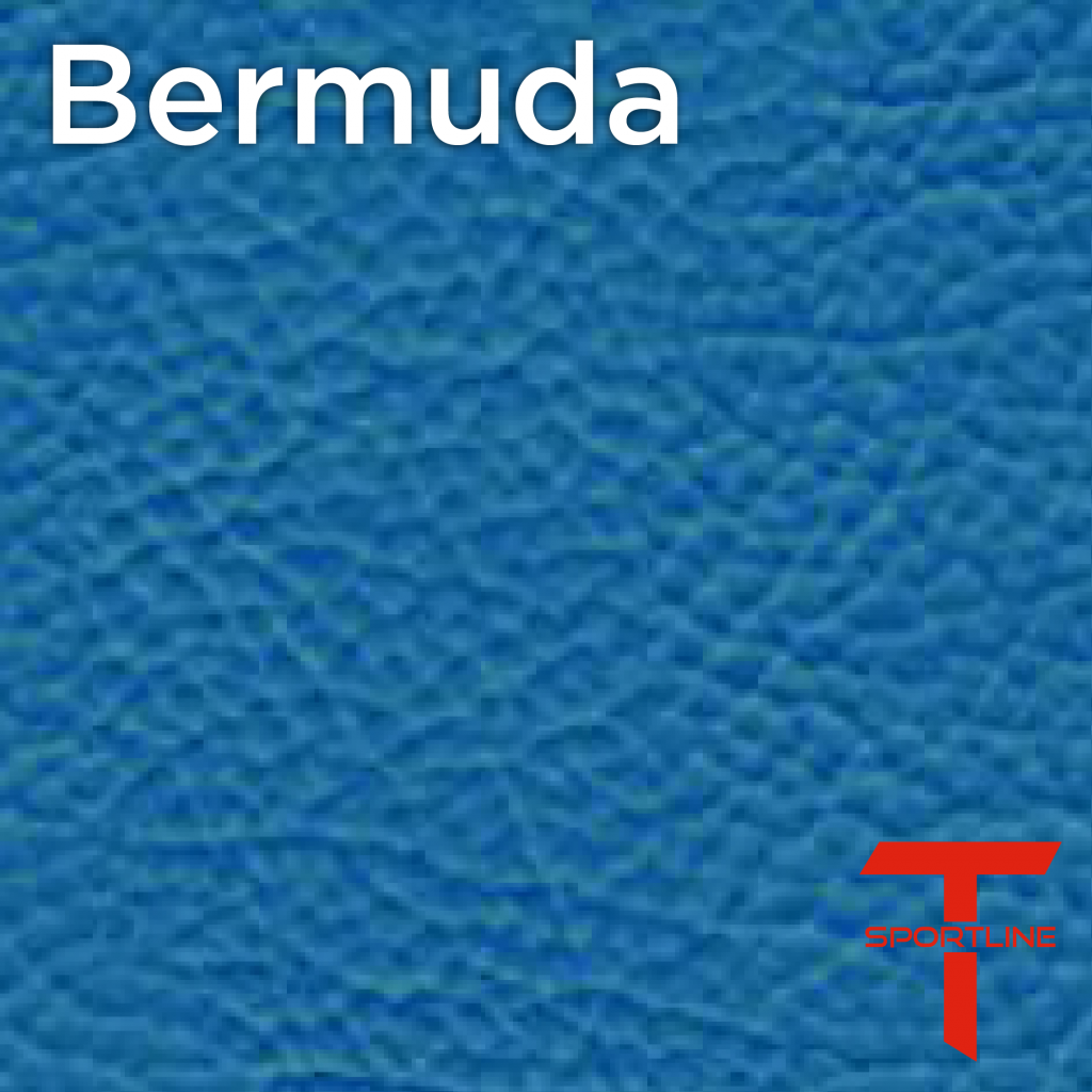 Tesla Seat Upgrade Kit Configurator Seat Insignia Swatches