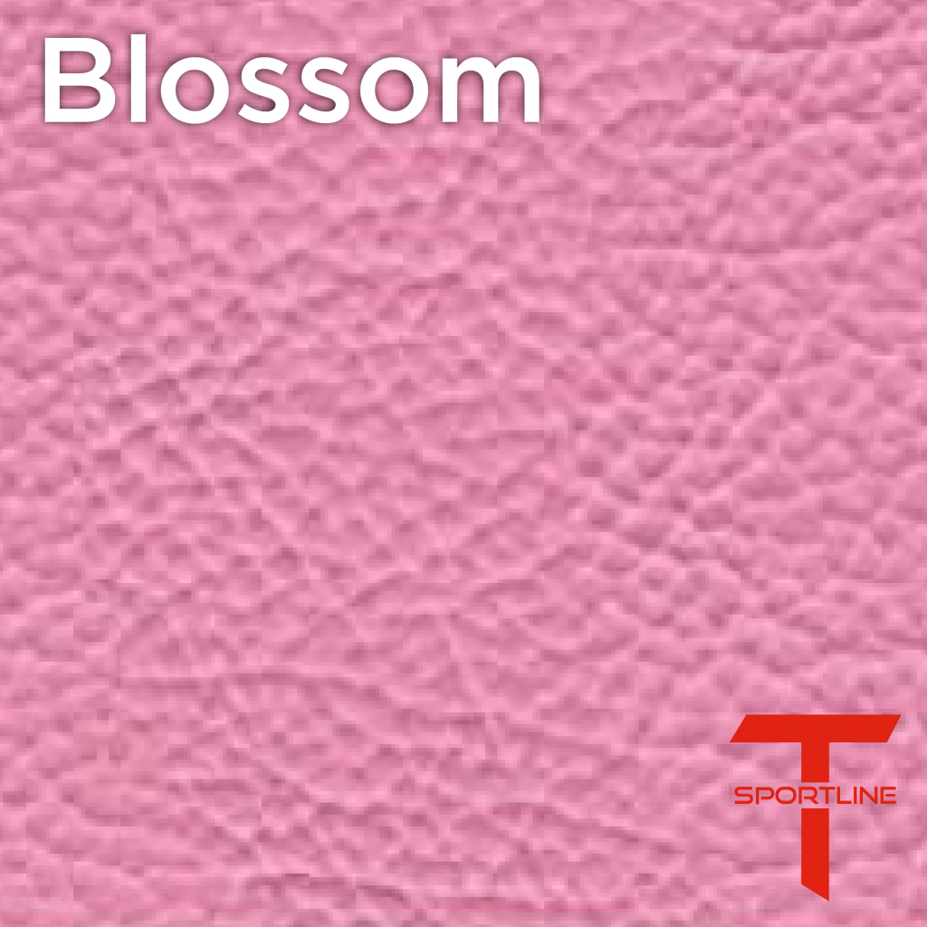 Tesla Seat Upgrade Kit Configurator Seat Insignia Swatches