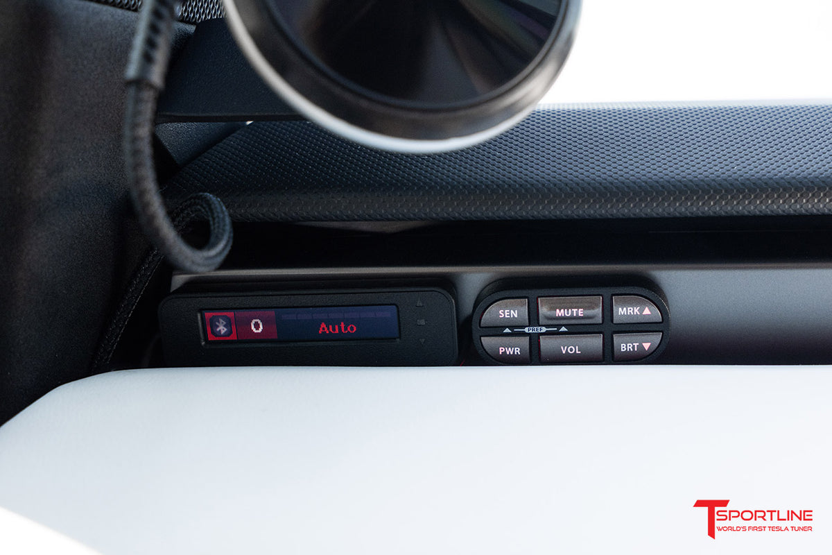 Tesla Ticket Avoidance System