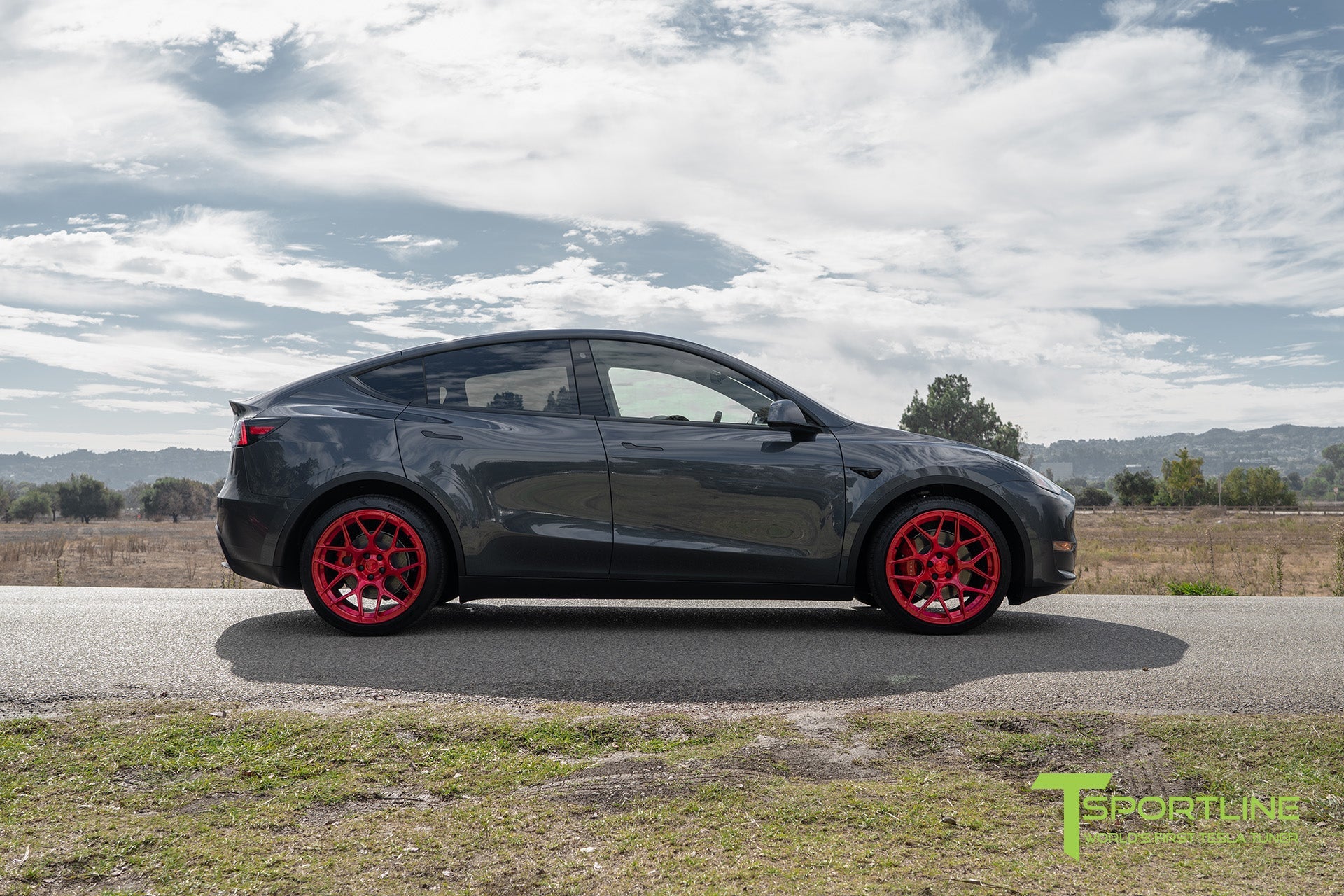 TY117 21" Tesla Model Y Replacement Wheel