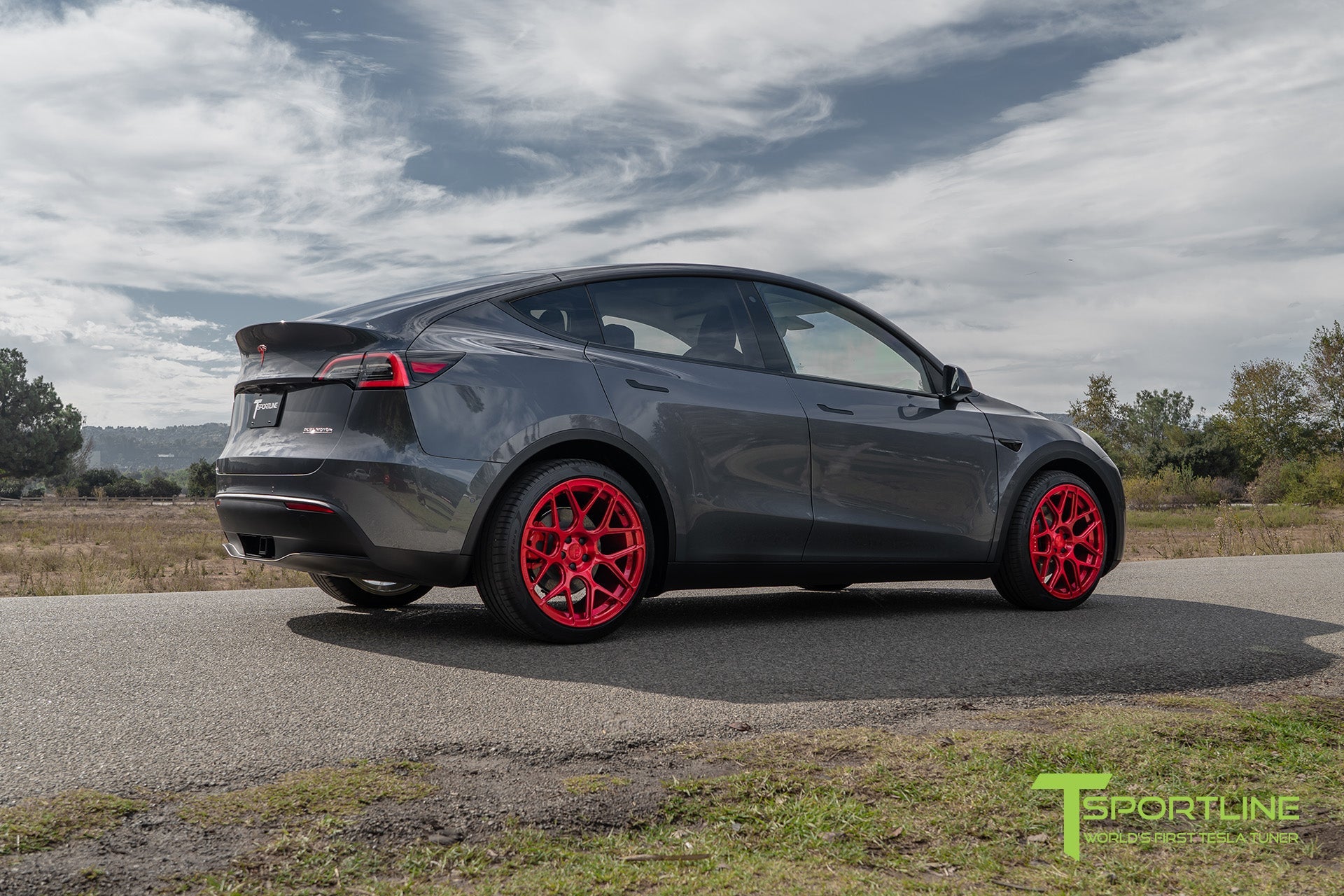 TY117 21" Tesla Model Y Replacement Wheel