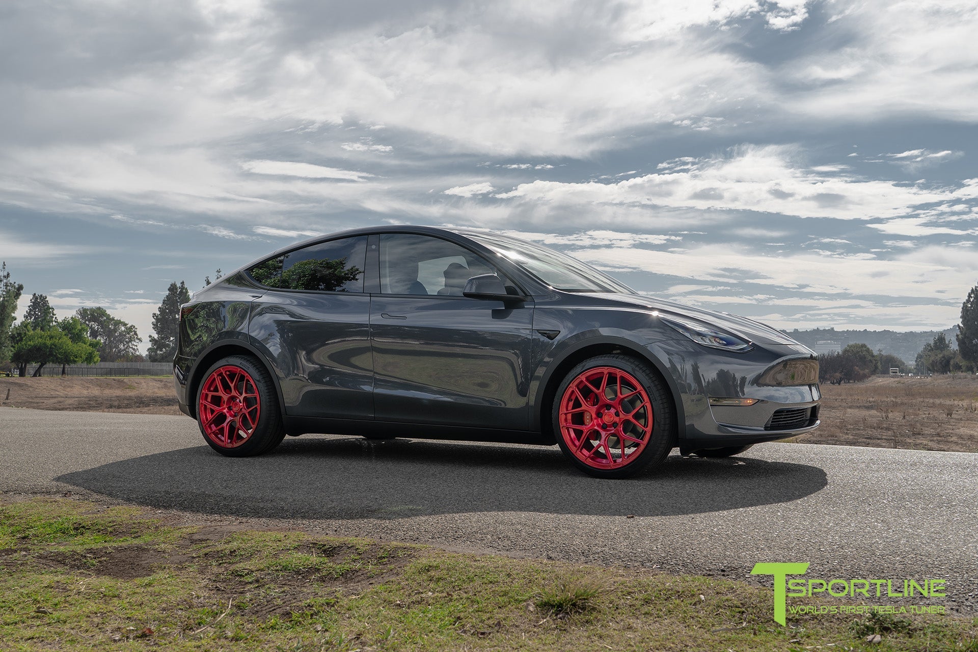TY117 21" Tesla Model Y Replacement Wheel