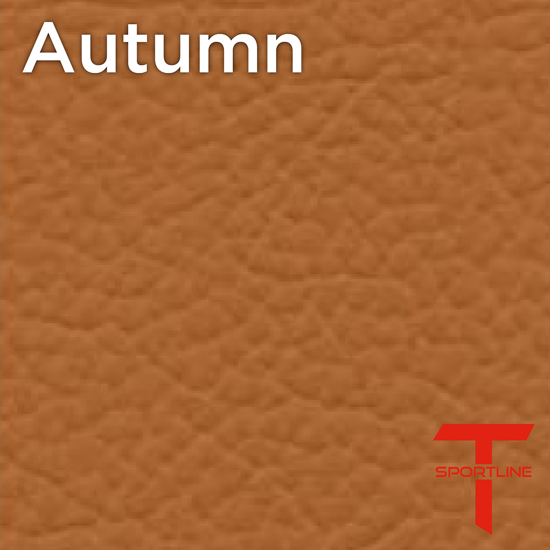 Tesla Seat Upgrade Kit Configurator Seat Insignia Swatches