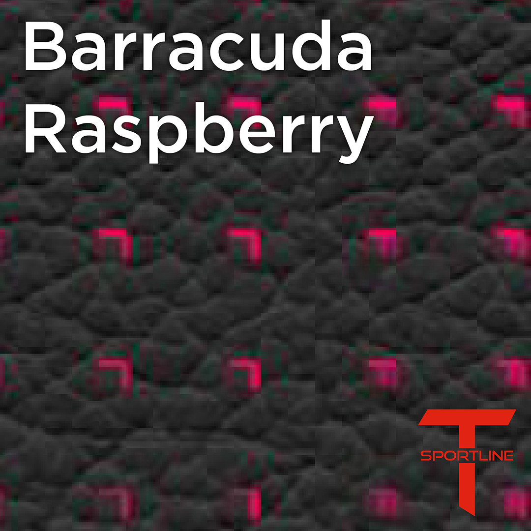 Tesla Seat Upgrade Kit Configurator Seat Insignia Swatches