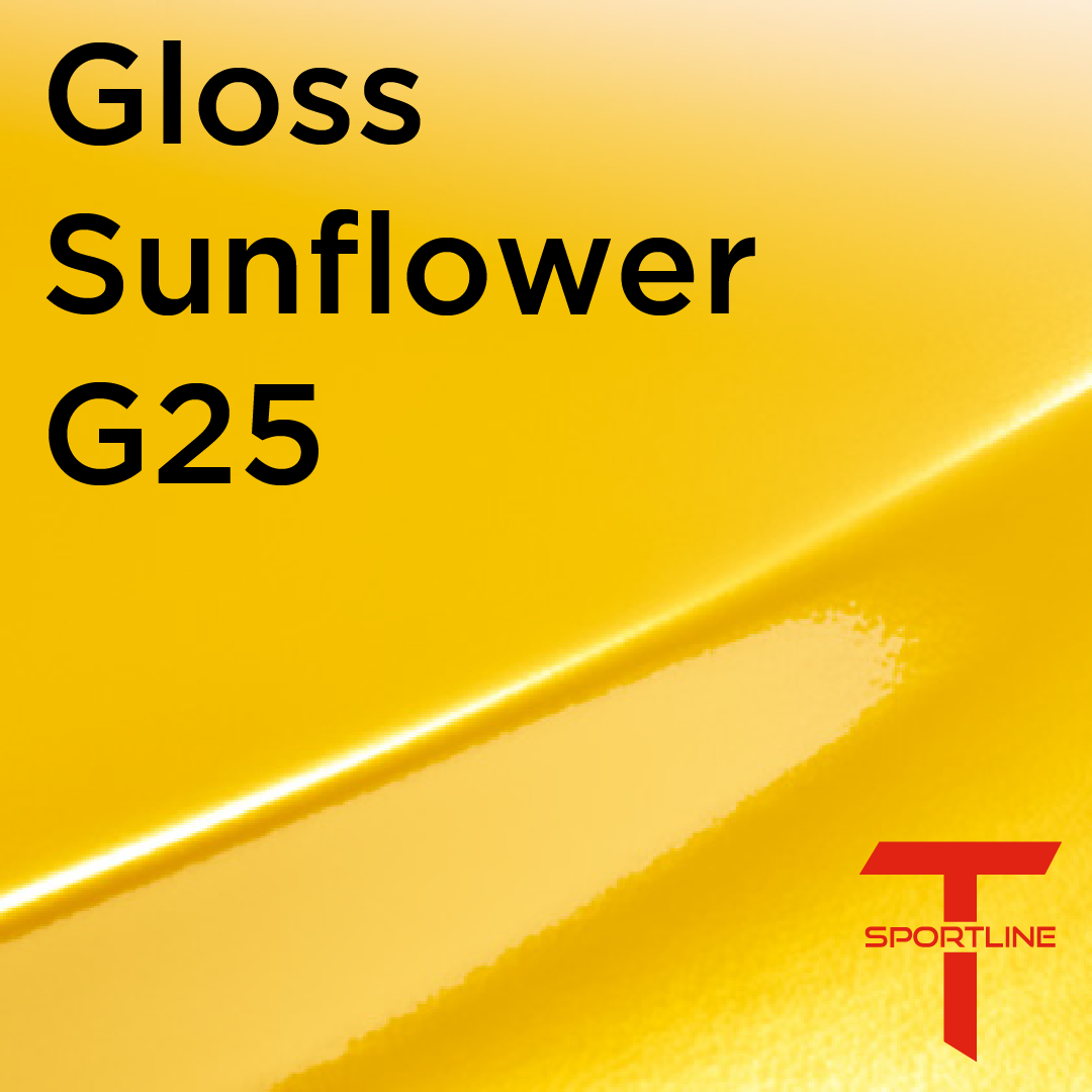 SPECIAL DEALS! Tesla Cybertruck DIY Color Change Vinyl Wrap & PPF Kits