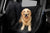 Pet / Dog Seat Liner Mat for Tesla Model 3 / Y / S