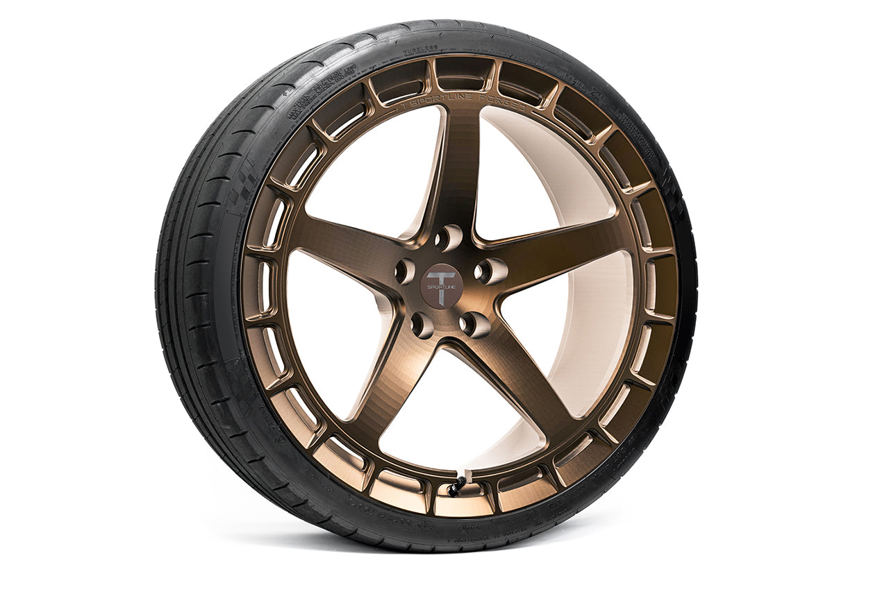 TSW150A 21" Tesla Model S Plaid & Long Range Fully Forged Lightweight Tesla Wheel and Tire Package (Set of 4)