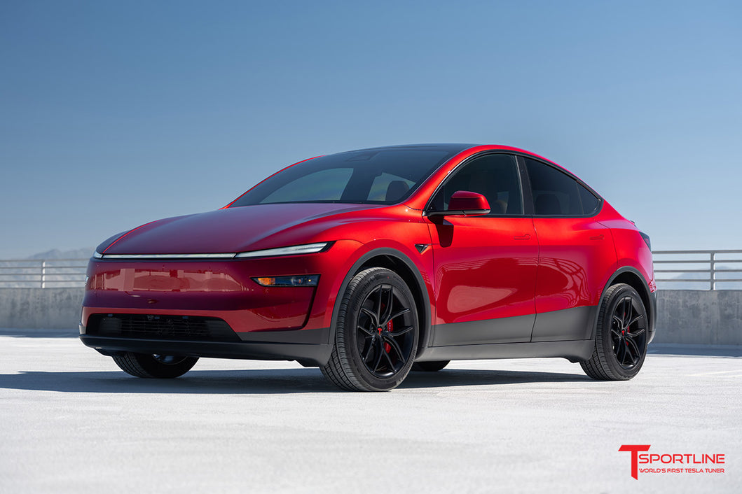 TS5 19