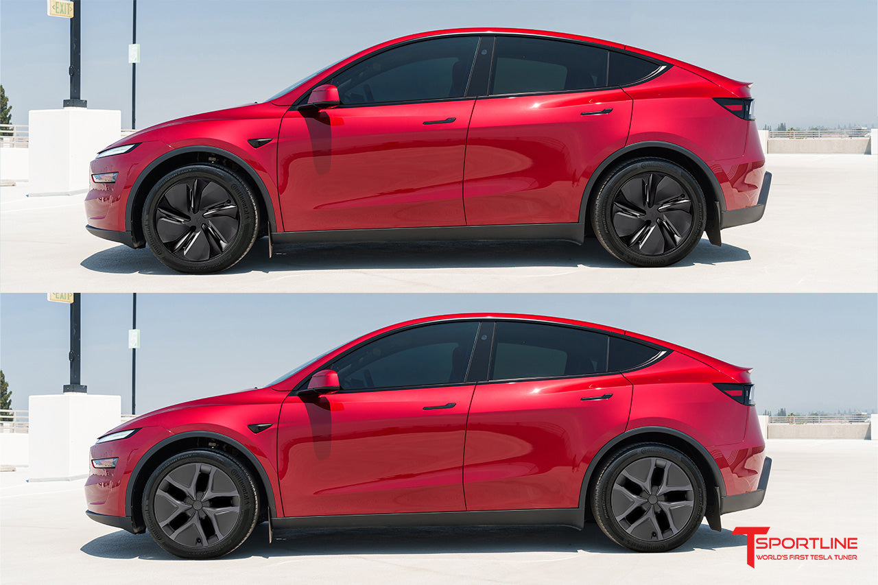 AR2 Tesla Model Y Arachnid Styled Aero Wheel Cover for 19" Factory Tesla Juniper Wheel