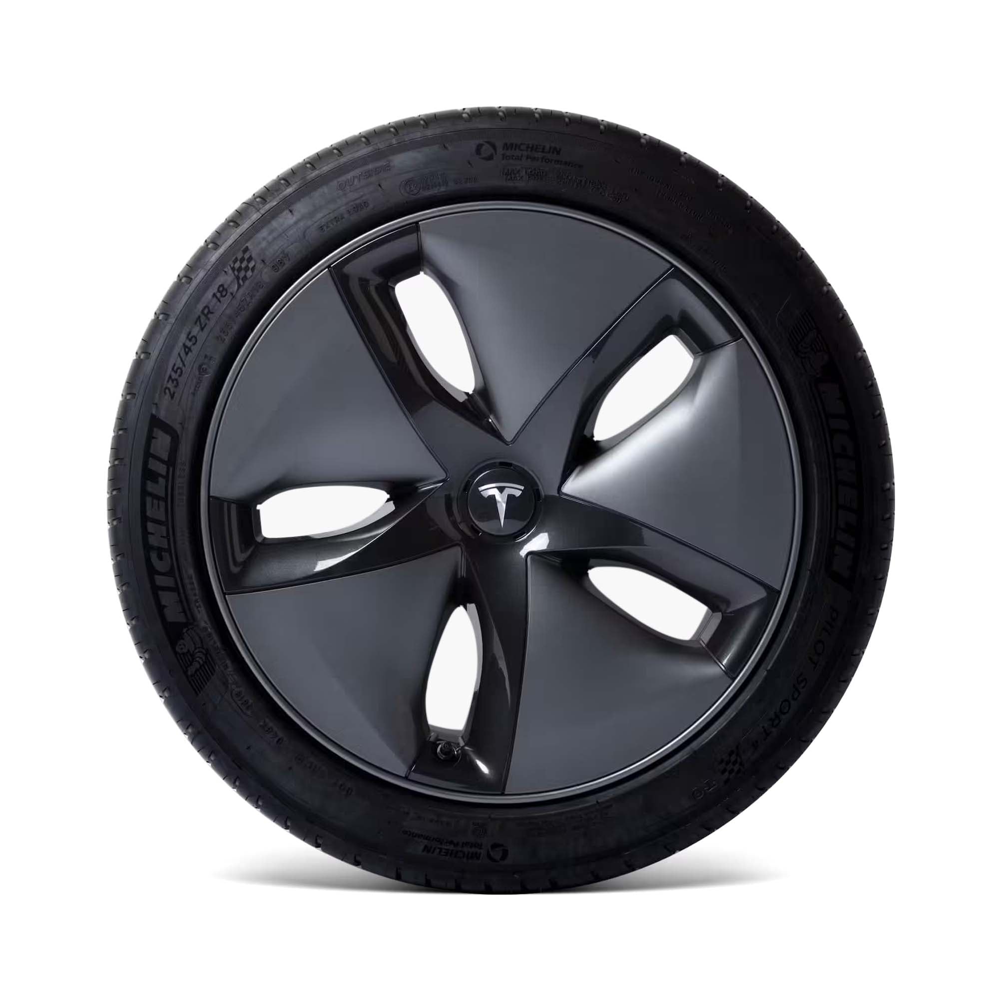 CLEARANCE SPECIAL - T Sportline Tesla Wheel Touch Up Paint