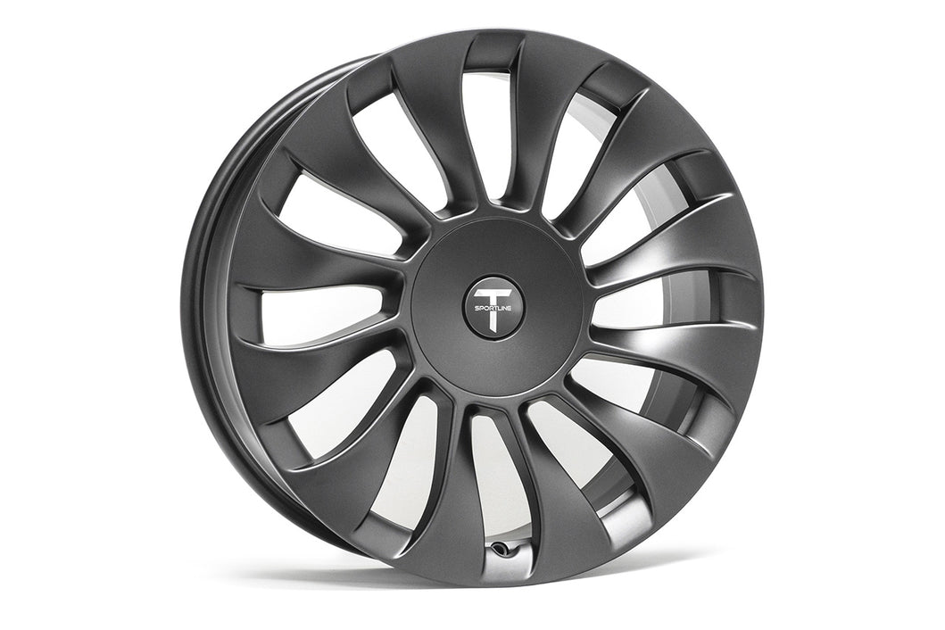 TSS 19