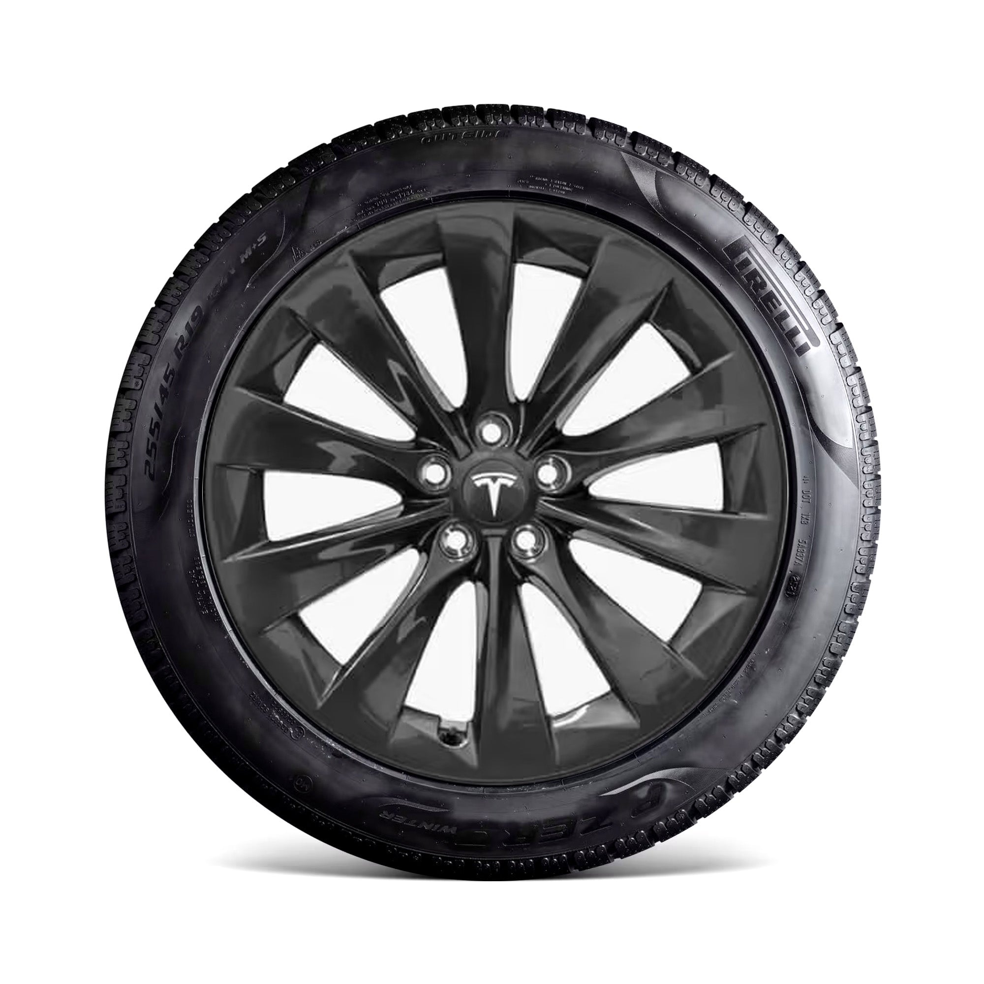 CLEARANCE SPECIAL - T Sportline Tesla Wheel Touch Up Paint