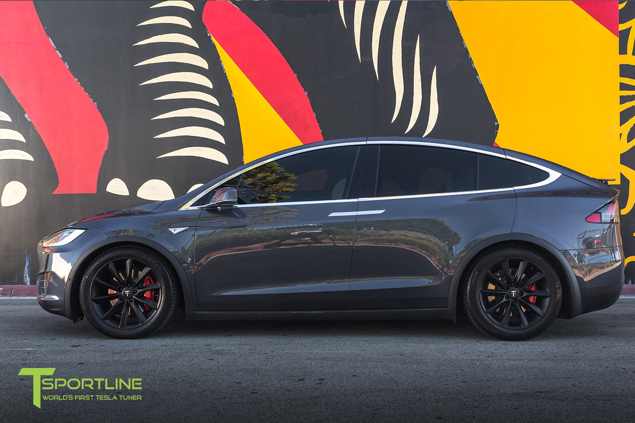 TST 20" Tesla Model X Wheel and Winter Tire Package (Set of 4)